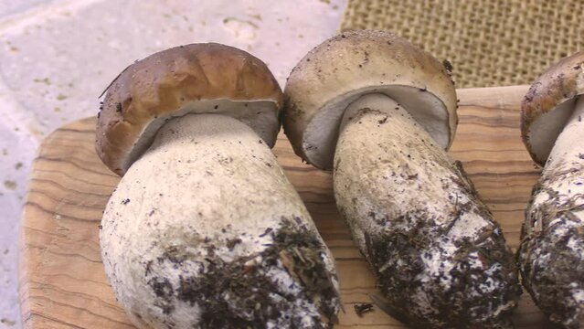 plusieurs c&egrave;pes de Bordeaux frais, en gros plan, sur une table