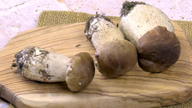 plusieurs c&egrave;pes de Bordeaux frais, en gros plan, sur une table