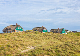 Fototapeta na wymiar Thatched-roof summer houses in the dunes of Fanø, Denmark