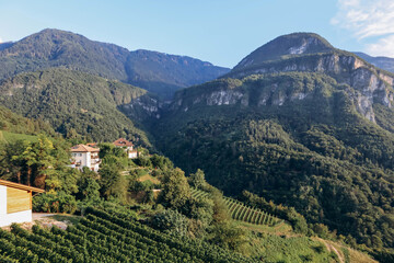 Vineyards in the mountains in South Tyrol in northern Italy, about 15 km south of Bolzano, Pinot Noir Trail