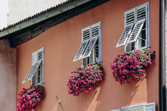 Windows with white shutters on an orange facade and with pink flowers, northern Italy, South Tyrol