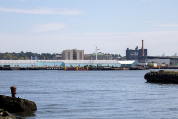 cranes in the harbor