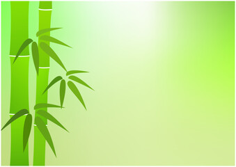 Fresh green bamboo forest background