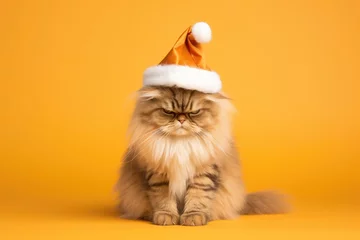 Fotobehang Cute funny orange persian cat in Santa Claus orange hat isolated on bright yellow clear background. Serious and angry pet. Happy New Year and Christmas concept © ratatosk