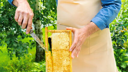 A beekeeper in an apron holds a frame with honeycombs in his hands and cuts honey out of it. Real...