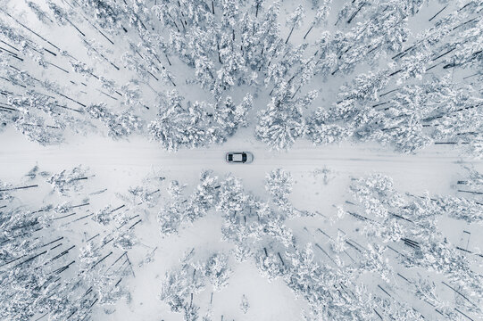 Aerial view of a car on cold winterday driving in a snowy pine forest, Lahemaa National Park, Harjumaa, Estonia.