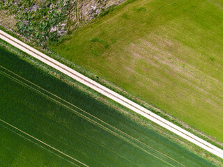 Plantación 03