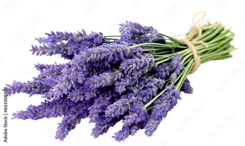 Wall mural bunch of lavender  isolated on transparent or white background, png
