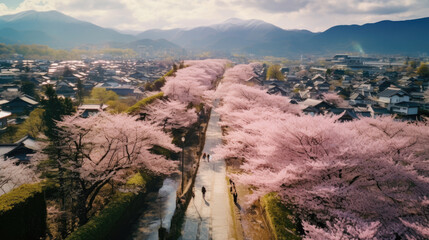 Traditional Japanese Beauty Landscape