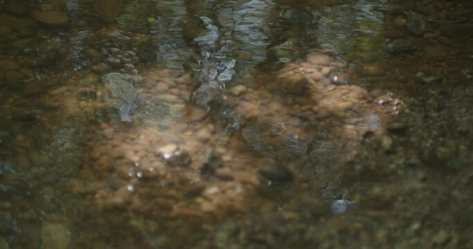 A closeup shot of shiny water in a river with sun reflection in Devon, UK