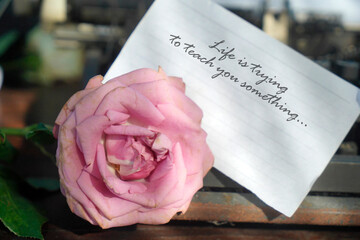 Inspirational motivational quote - Life is trying to teach you something. Text message on white paper with pink purple rose on old typewriter background. Learn from mistakes. Life experience concept.