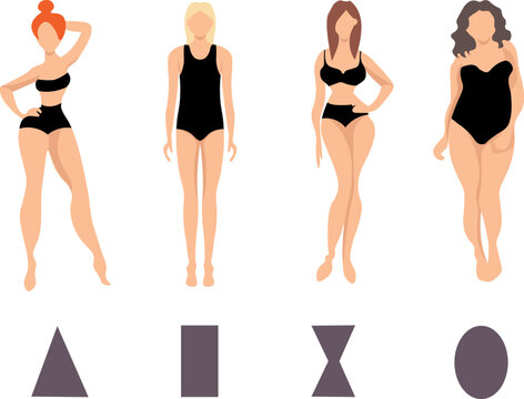  female body types