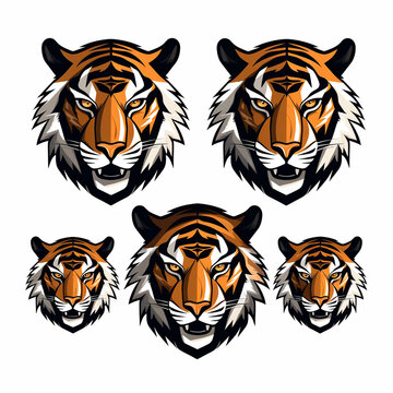 Tiger head icons set. Vector illustration of tiger head icons.