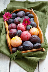 Jesienne zbiory: śliwki fioletowe, żółte i kwiaty na tacy, ujęcie z góry. © Katarzyna