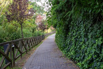 An empty paved path in the park green wooden fence. Perspective park path with protection wooden...