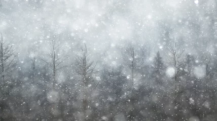 Outdoor-Kissen background landscape snowfall in foggy forest, winter view, blurred forest in snowfall with copy space © kichigin19