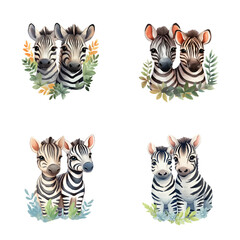 set of cute zebras watercolor illustrations for printing on baby clothes, sticker, postcards, baby showers, games and books, safari jungle animals vector