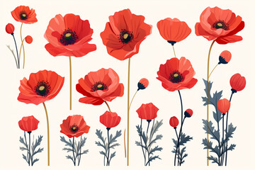 Fototapeta premium Seamless pattern with red poppies, vector illustration.