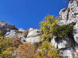 Landscape of autumn mountains and forest of Crimea