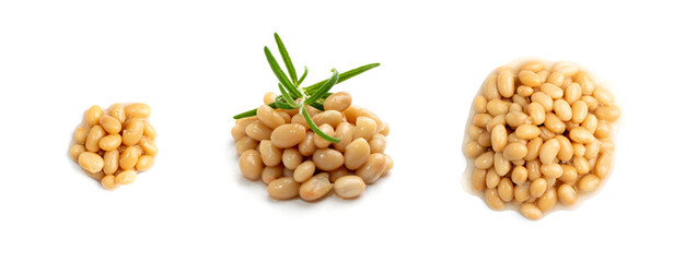 White Kidney Beans Isolated