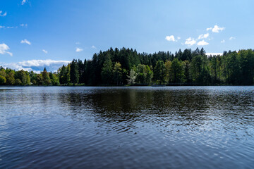 Fototapeta premium lake with forest in autumn light and blue sky 