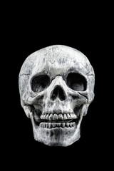 Human skull isolated on a black background. (This is toy model for decorate)