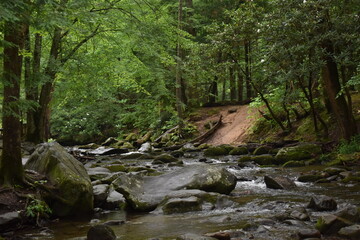 Obraz premium Creek through the smokies.