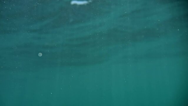 Delve underwater and then breach the surface in slow-motion, against the backdrop of light waves and sunlight.