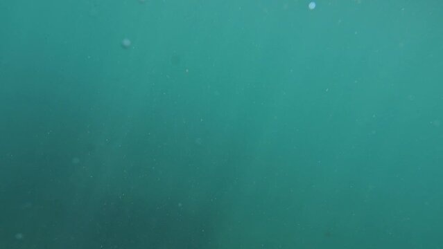 Sea's surface view; camera descends, then emerges, portraying submerged panic.