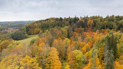 an aerial shot of a forest in the fall time with yellow, green and brown