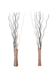 decorative branches isolated on white