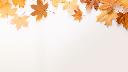 Naklejka na ściany i meble maple leaves on a white background isolated frame of fallen leaves autumn blank