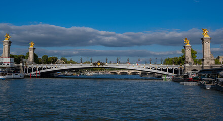 Fototapeta na wymiar Pont Alexandre Brücke die über die Seine führt in Paris