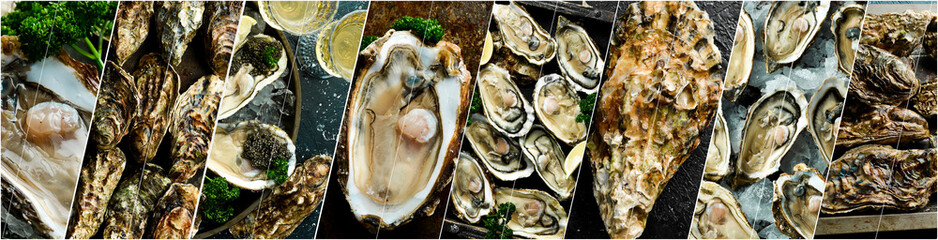 Collage of different assortment of open and closed oysters on ice. A set of seafood food enriched...