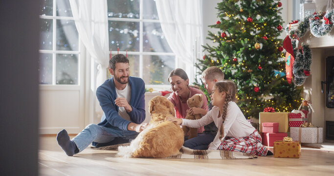 Portrait of Family at Home Sitting Next to a Christmas Tree, Petting Their Purebred Golden Retriever. Cute Pet Receiving a Lot of Love and Treats on Holiday. Family Bonding Together