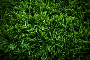 Foto op Aluminium Faux green grass creates a versatile backdrop for textures and designs © Jawed Gfx