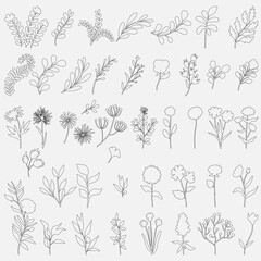Set floral minimal elements in line art style.Flowers, greenery for decoration, wild and garden plants, branches, leaves. Vector illustration for logo, tattoo, wedding invitation