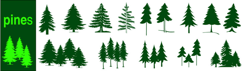 Vector set silhouette of different pine trees. 
