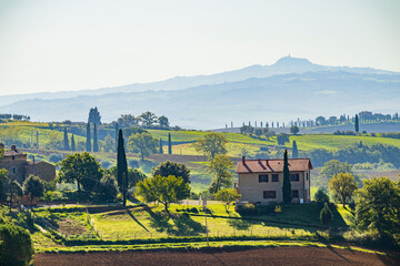 Fototapeta na wymiar Beautiful morning in Tuscany 