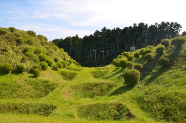 山中城跡 障子堀