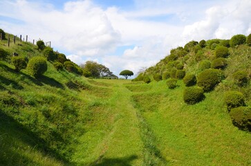 山中城跡 障子堀