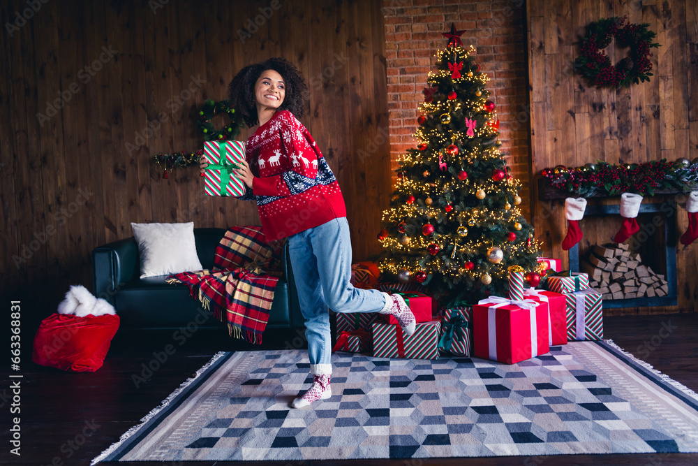 Sticker Full body portrait of lovely positive lady arms hold desirable new year giftbox festive tree illumination home indoors