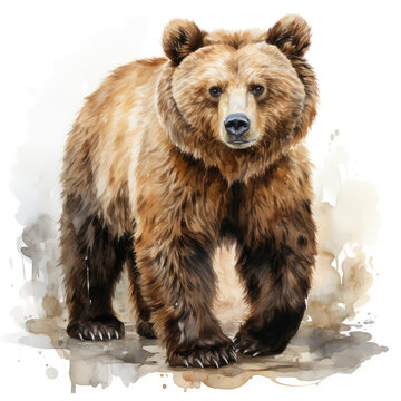 watercolor Bear clipart, Generative Ai