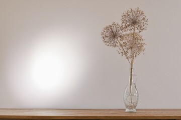 Dried allium plants in the vase, light and shadows on the wall. Beige stillife.