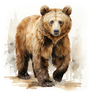 watercolor Bear clipart, Generative Ai