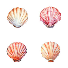set of happy cute seashell watercolor illustrations for printing on baby clothes, pattern, sticker, postcards, print, fabric, and books