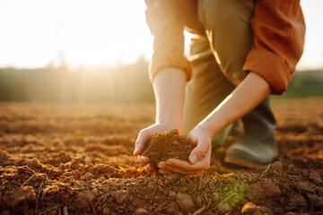 Close-up of an experienced woman farmer's hands holding fresh soil, pouring it and checking the quality of the black soil. The concept of growing lard, ecology.