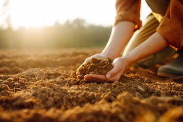 Close-up of an experienced woman farmer's hands holding fresh soil, pouring it and checking the quality of the black soil. The concept of growing lard, ecology.