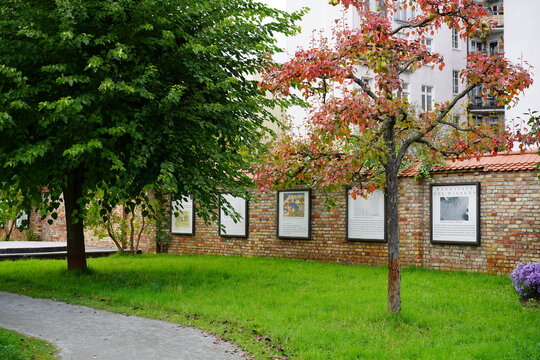 Teilaufnahme Comenius-Garten im Herbst, Berlin, 17.10.w023