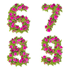 Illustration of pink wild rose flowers alphabet  - digits 6-9